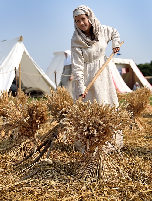 A portable wheatfield