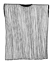 * A pleated underdress