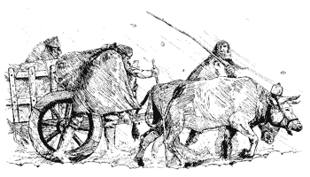 *Ill. of Ox cart